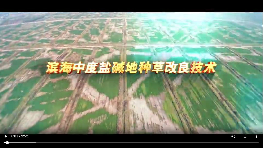 種草改良.png